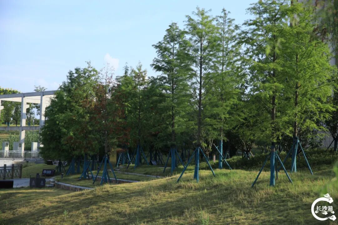 DƬ